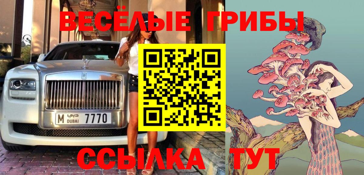Галлюциногенные грибы Psilocybe  Вход с VPN  Псилоцибиновые грибы мухоморы  Алейск 