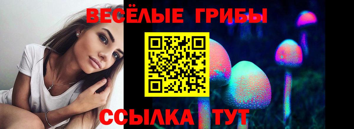 Галлюциногенные грибы прущие грибы Алейск