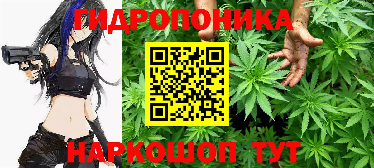 МАРИХУАНА Ganja  Вход с VPN  Алейск  МАРИХУАНА White Widow  Конопля конопля 